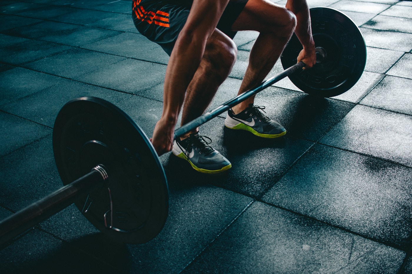 Fibevita — Fuel Your Potential