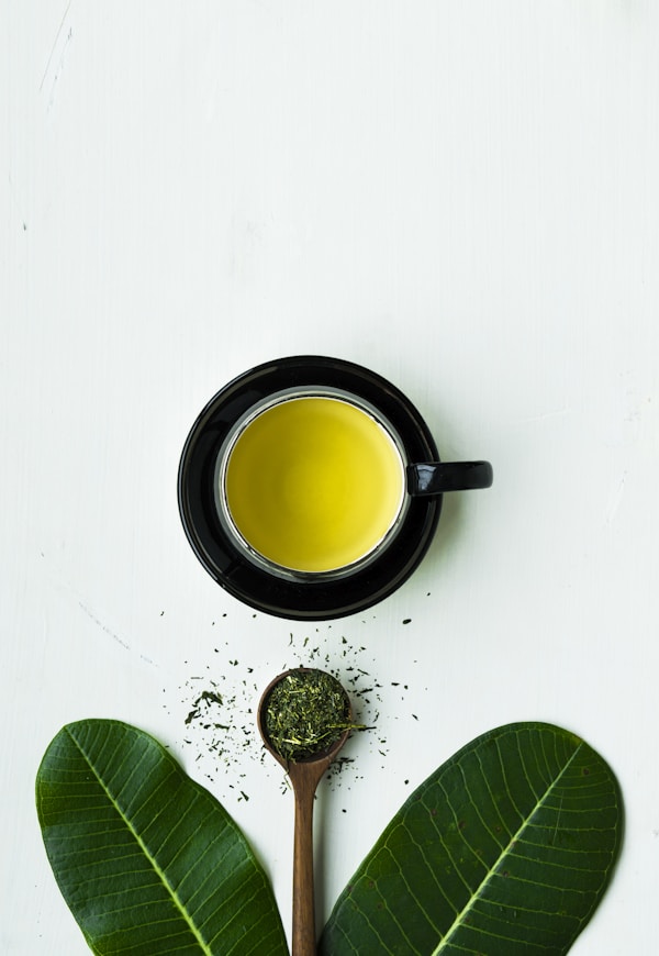 Plant Protein Powder